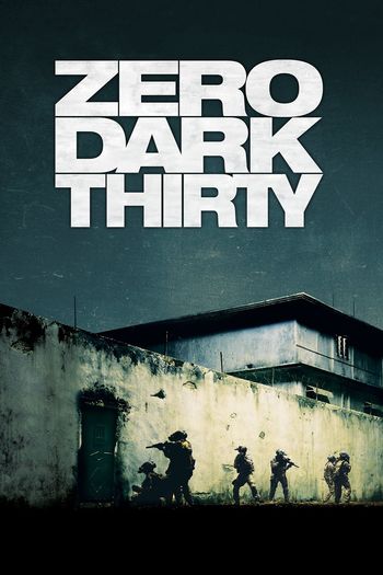 Zero Dark Thirty (2012) BluRay 1080p 720p 480p Dual Audio Hindi English