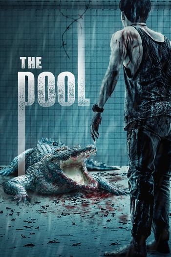 The Pool (2018) BluRay 720p 480p Dual Audio Hindi Thai